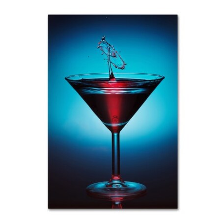 Trademark Fine Art Heinz Trebuth 'Salute' Canvas Art, 12x19 1X00069-C1219GG